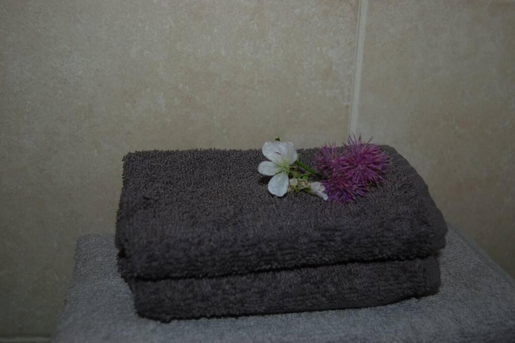 Creag Mhor Self Catering Holiday Apartment Aberfoyle  Extérieur photo